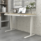 Flexispot E9W Electric Standing Desk with Drawer - Gavisco Office Furniture
